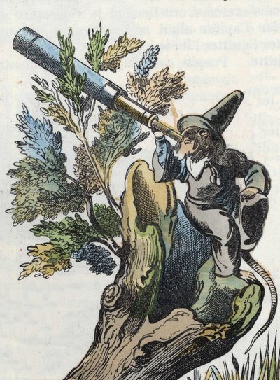 Illustration du conte « Le terrible Raminagrobis et les souris ». Dans « Contes de la maison pour les petits ». Gravure anonyme du XIXe siècle - Unknown artist