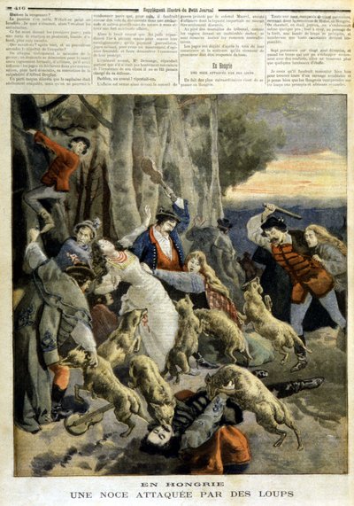 En Hongrie : un mariage attaqué par des loups - dans « Le Petit Journal » du 23/12/1894 - Unknown artist