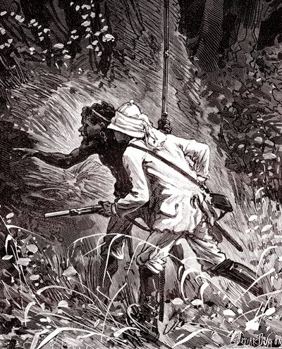 Dans les champs de caoutchouc (Hevea) dans la jungle de Guyane - Unknown artist
