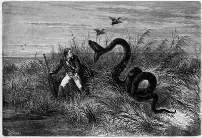Incident dans la savane lors d