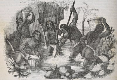 Indiens de l