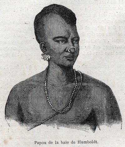 Peuples indigènes de Nouvelle-Guinée : Papou de la baie de Humboldt. Gravure dans "L