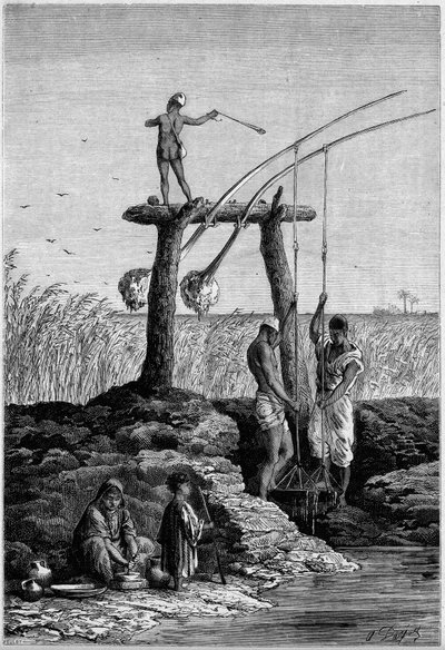 Irrigation en Égypte : chadoufs (ou shadoufs) sur les rives du Nil. Gravure dans "Le Monde Illustré" n°1313 du 27 mai 1882. - Unknown artist