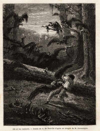 Job (compagnon de voyage du rédacteur), attaqué par des vautours. Gravure pour illustrer le récit Quatre mois en Floride, par M. Pousselgue, en 1851-1852, publié dans « le tour du monde », sous la direction d