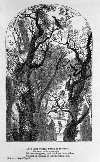 John Keats : Ode à un rossignol - Unknown artist