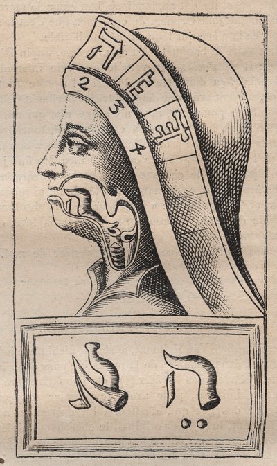 Kabbale - Illustration de : "Alphabeti vere naturalis Hebraici brevissima delineatio" (L
