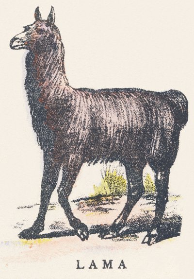 L : lama - Unknown artist