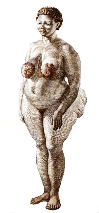 La Vénus Hottentote, femme de la race Bochiman, gravure de 1815. - Unknown artist
