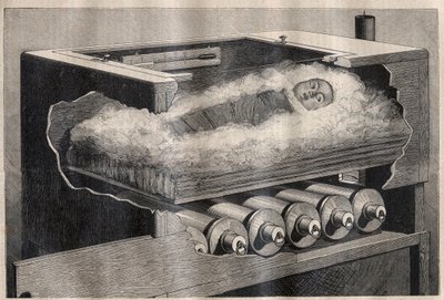La maternité artificielle : une incubatrice d