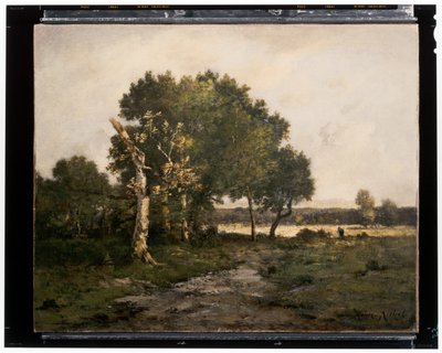 Paysage, c.19ème siècle - Unknown artist