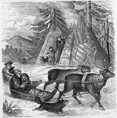 Lapons et leurs traîneaux. - Unknown artist