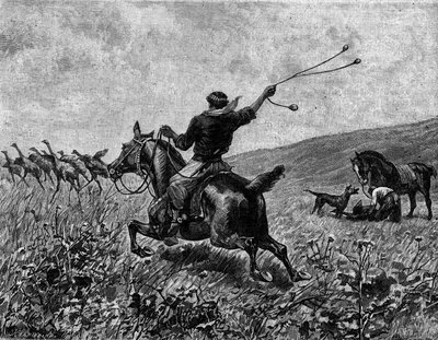 Lasso: chasse au casoar avec un lasso à balles. Gravure dans "Le Journal de la jeunesse" - Unknown artist