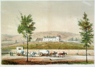 Le clos Vougeot, vignoble de la Côte d