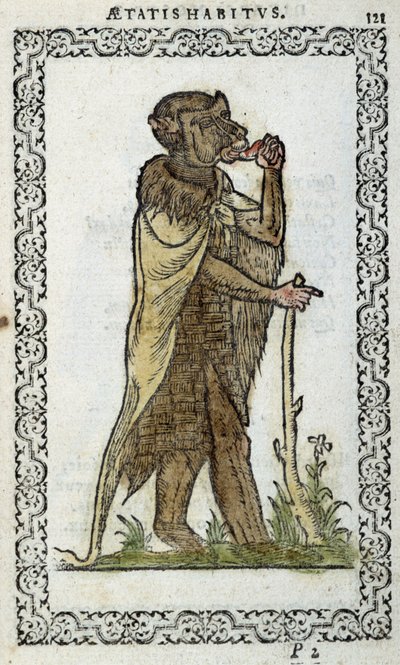 Le moine debout - dans "Habits et effigies" par Jean Sulperius - Unknown artist
