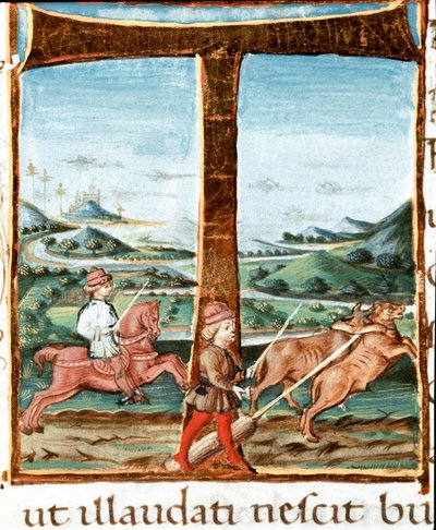 Lettrine T décorée d