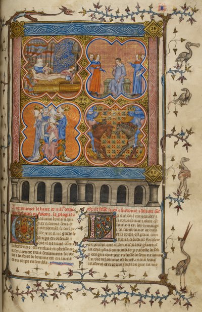 Vie de Jules César : quatre miniatures montrant sa naissance, son divorce, son pontificat et son combat avec Pompée ; texte avec initiales décorées et bordure avec oiseaux et grotesques. - Unknown artist