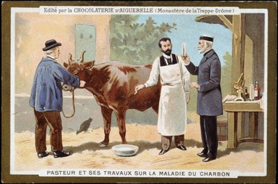 Louis Pasteur et son travail sur la maladie du charbon - étiquette publicitaire des Chocolats d