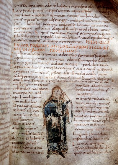 Page manuscrite de « De simplicibus medicamentis » de Claude Galien (Klaudios Galenos ou Claudio Galeno ou Claudius Galenus ou Galen, v. 131 - v. 201). 8e ou 9e siècle. Governativa de Lucca - Unknown artist