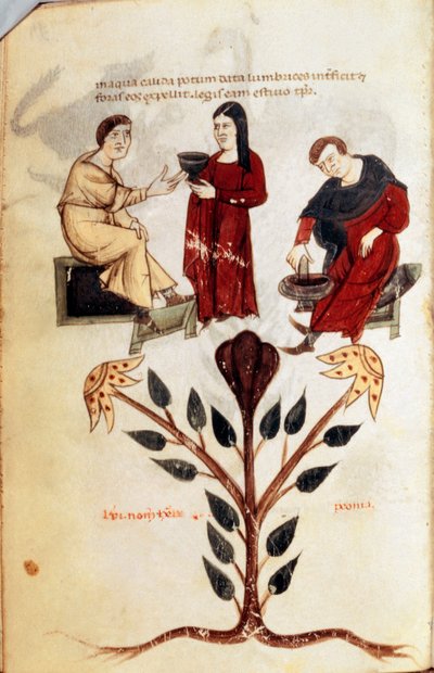 Médecine : préparation d