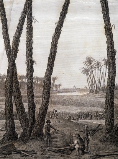 Memphis, vue des ruines (scientifiques et artistes au travail) - dans « Description de l
