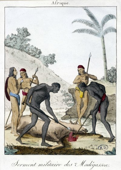 Serment militaire des habitants de Madagascar (abattage d