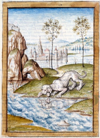 Animaux miniatures d