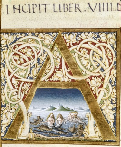 Miniature représentant des sirènes. Lettrine « A » - dans « Naturalis Historiae » de Pline l