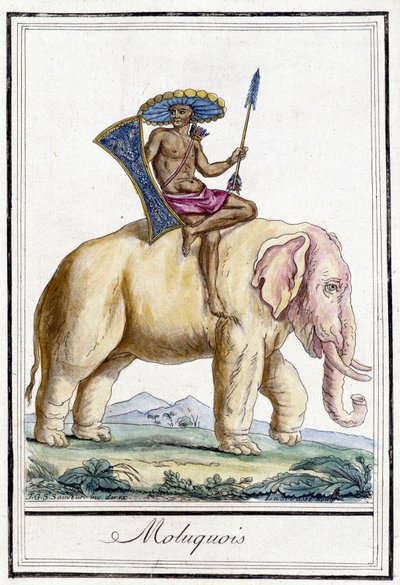 Homme moluquois sur un éléphant (Îles Moluques, Indonésie). - Unknown artist