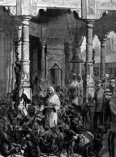 Temple des singes à Varanasi (anciennement Bénarès) en 1877. - Unknown artist
