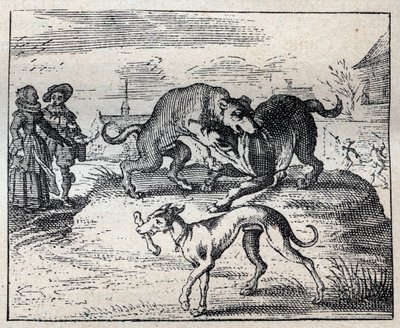 Vieux proverbe anglais : deux chiens se battent pour un os et le troisième l