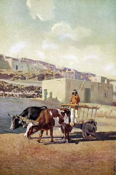 Ancienne caretta (charrette) tirée par deux bœufs, conduite par un Amérindien du peuple Pueblo à Laguna, Nouveau-Mexique - Unknown artist