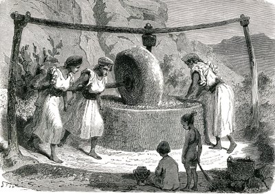 Moulin à olives en Algérie 1885 - Unknown artist