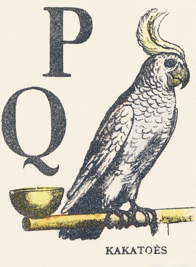 P Q : cacatoès - Unknown artist