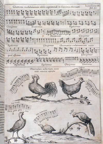 Page de Musurgia (1650) - Unknown artist