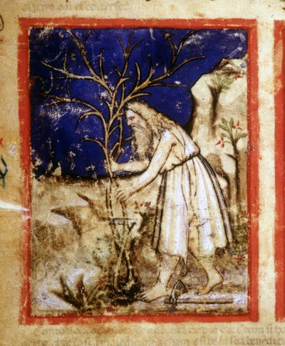 Page d