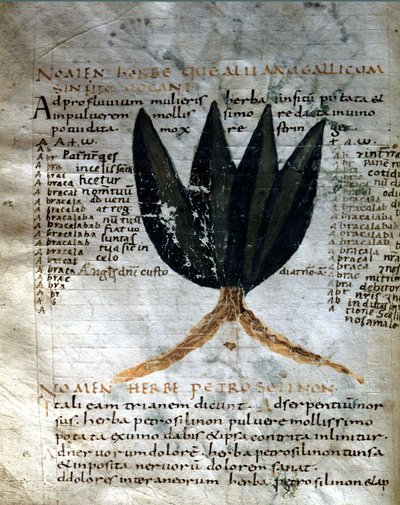 Page du manuscrit d