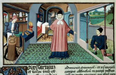 Pharmacie : un apothicaire, la cueillette des plantes et la préparation des médicaments - Unknown artist