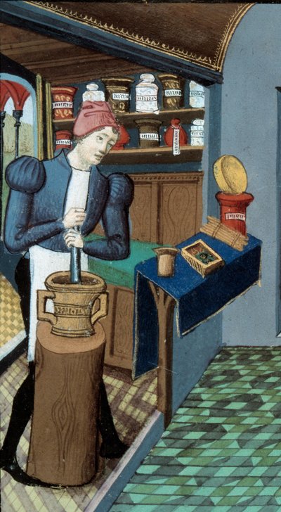 Pharmacie : un apothicaire, la cueillette des plantes et la préparation des médicaments (détail) - Unknown artist