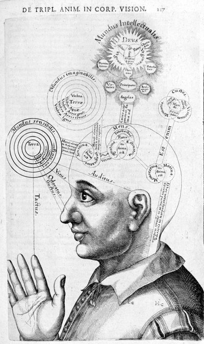 Image de physiognomonie (phrénologie) de Collectio Operum par Robert Fludd (Robertus de Fluctibus). Londres 1617 - Unknown artist