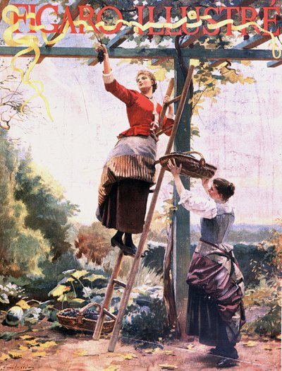 Vendange dans les vignes suspendues - dans Figaro illustré, octobre 1891 - Unknown artist