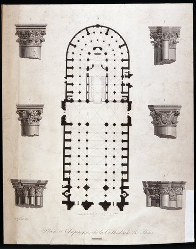 Plan et chapiteaux de la cathédrale Notre-Dame de Paris. 19ème siècle - Unknown artist