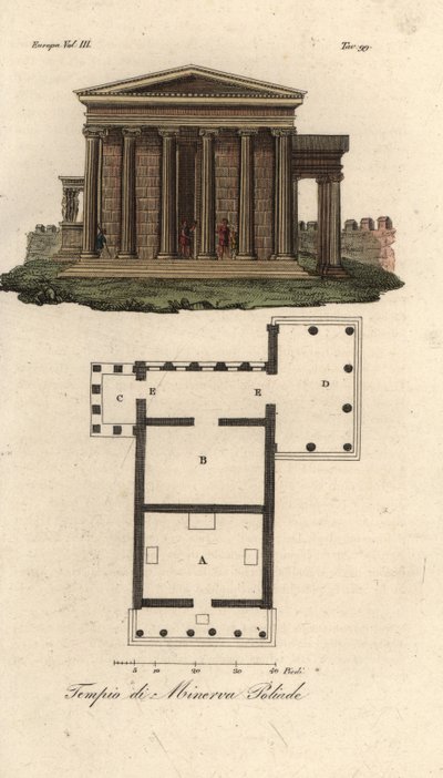 Plan et élévation de l