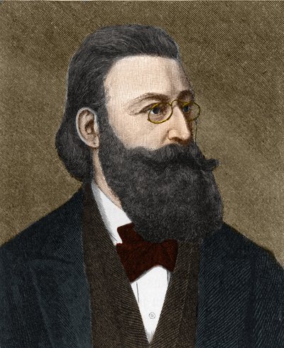 Portrait de Ludwig Anzengruber (1839-1889), écrivain autrichien - Unknown artist