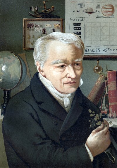 Portrait d