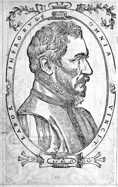 Portrait d