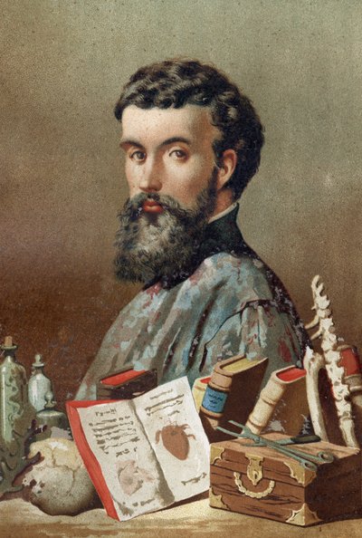 Portrait d