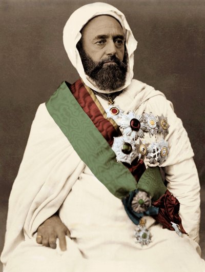 Portrait de Ben Mahi Ed Din Abd El Kader (1808-1883) émir algérien - Unknown artist