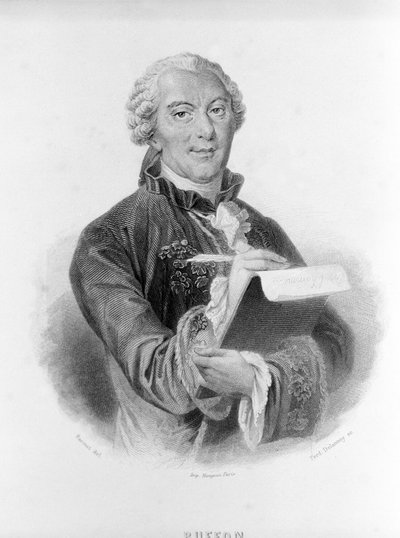 Portrait de Buffon (1707 - 1788), naturaliste et écrivain français - Unknown artist