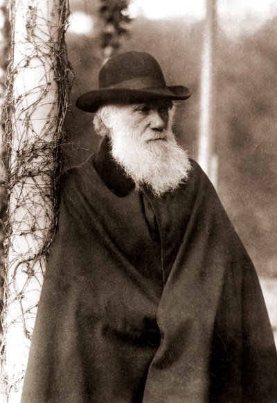 Portrait de Charles Darwin (1809-1882) - Unknown artist