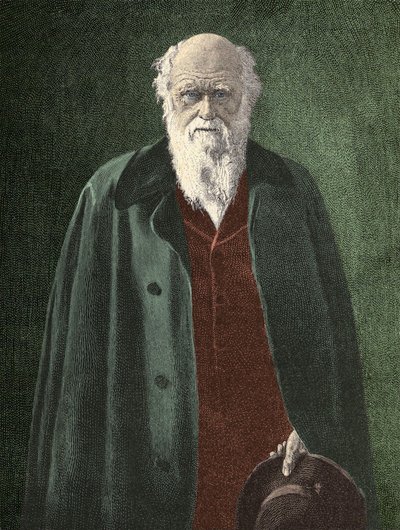 Portrait de Charles Darwin (1809 - 1882) - Unknown artist